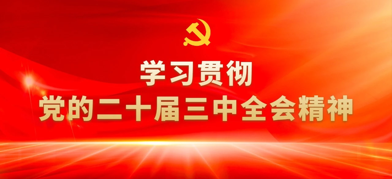 读懂党的二十届三中全会⑤：8组“开放热词”背后的知识点
